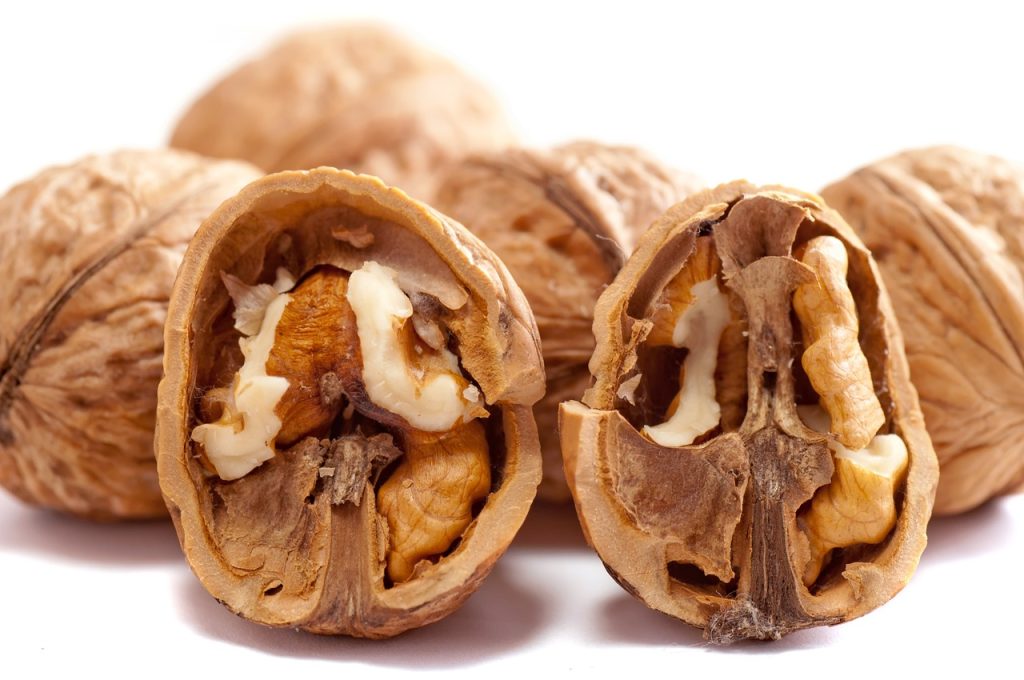 Protein Snacks & High-Protein